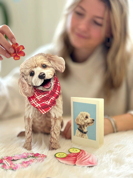 Poodle Pop-up w/Card