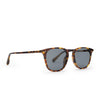 Maxwell - Amber Tortoise Grey Polarized