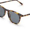 Maxwell - Amber Tortoise Grey Polarized