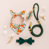 Evergreen Dog Collar
