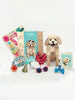 Poodle Pop-up w/Card