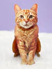 Orange Tabby Pop-up w/Card