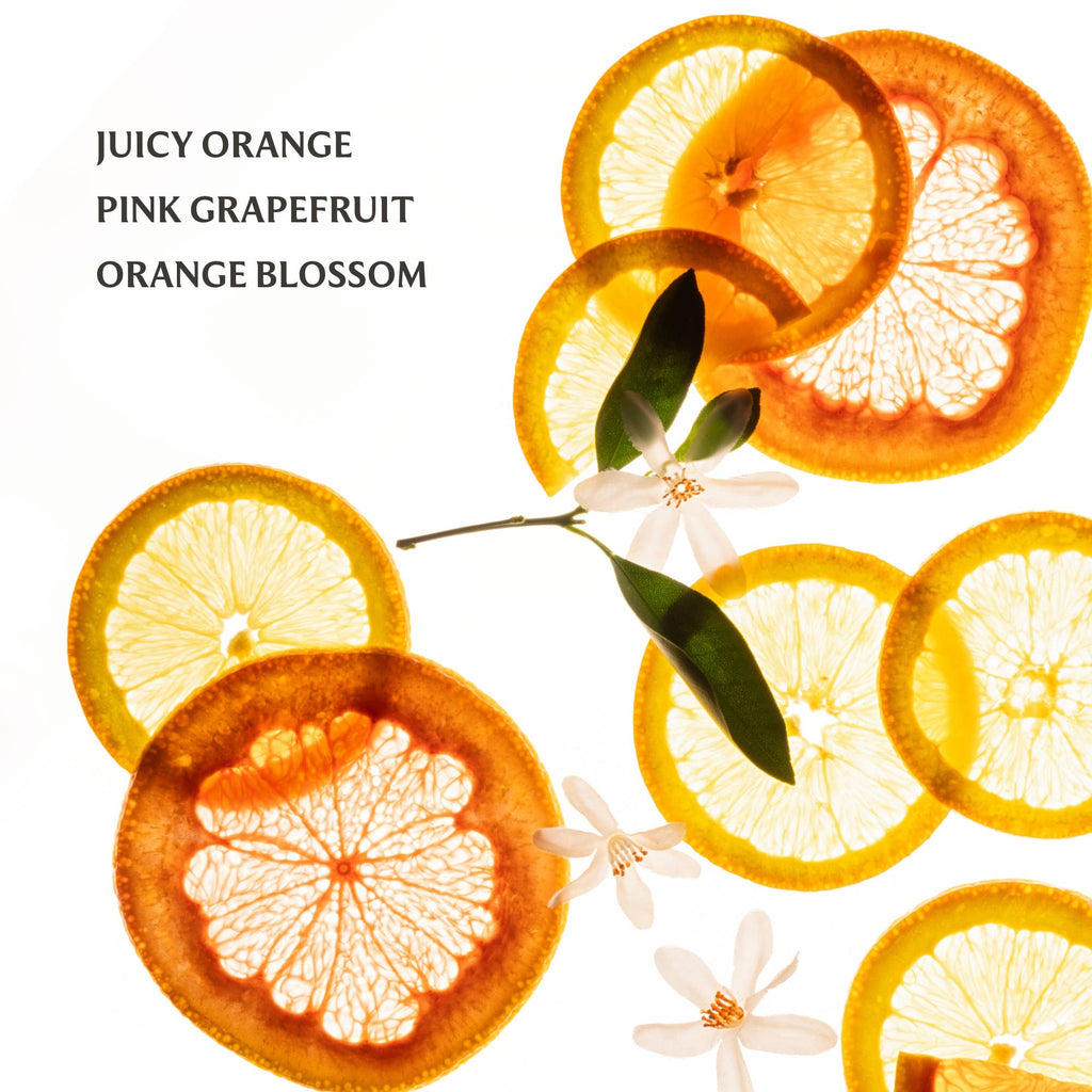 Citrus Grove Power Mist Hydrating Hand Sanitizer - Little Jill & Co.
