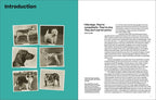 Why We Photograph Animals