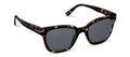 Sandy Polarized