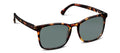 Mateo Polarized