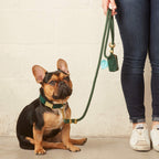 Evergreen Dog Collar