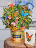 Butterflies and Buttercups