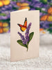 Lavendar & Butterflies