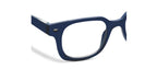 Glossary Navy/Plaid