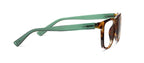 Hall Tortoise/Green