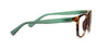 Hall Tortoise/Green