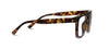 Cliff Tortoise/Black