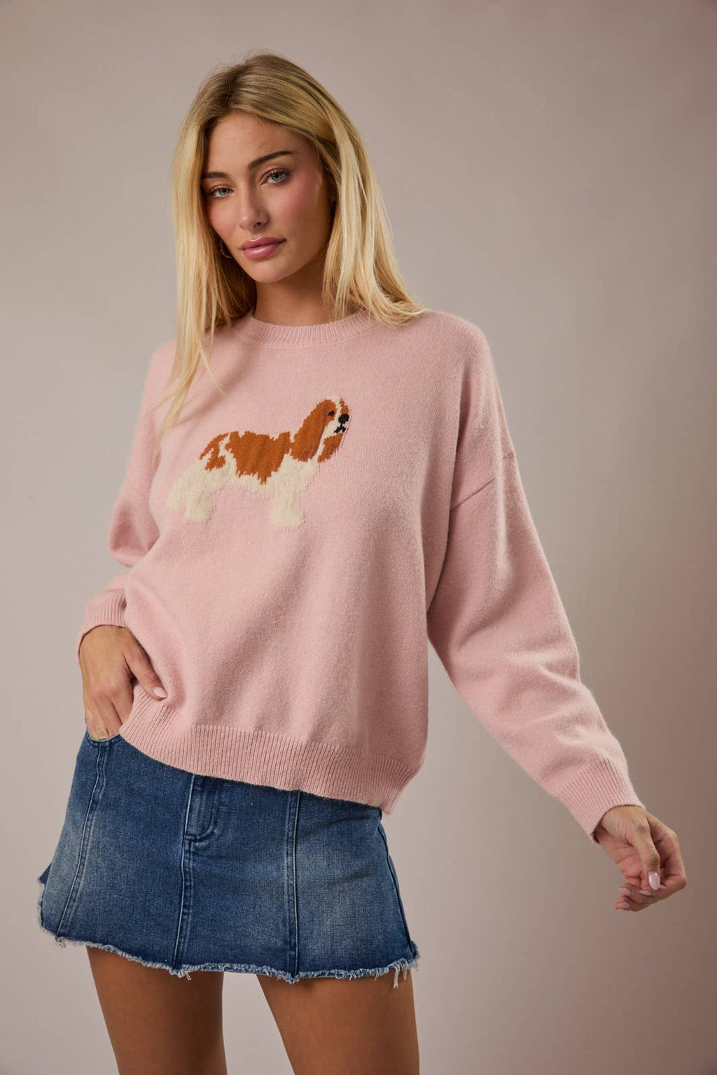 CREW NECK KING CHARLES SPANIEL DOG GRAPHIC SWEATER - Little Jill & Co.