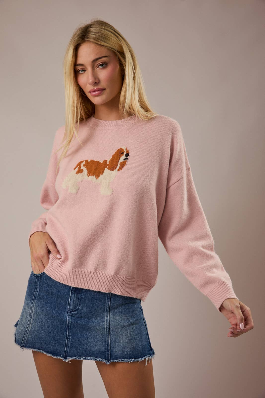 CREW NECK KING CHARLES SPANIEL DOG GRAPHIC SWEATER - Little Jill & Co.