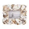 Oyster Shell Picture Frame