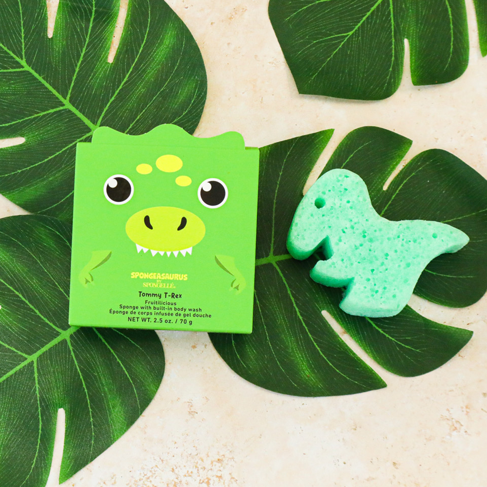 Tommy T-Rex Spongeasaurus (New Packaging) | Dinosaurs - Little Jill & Co.