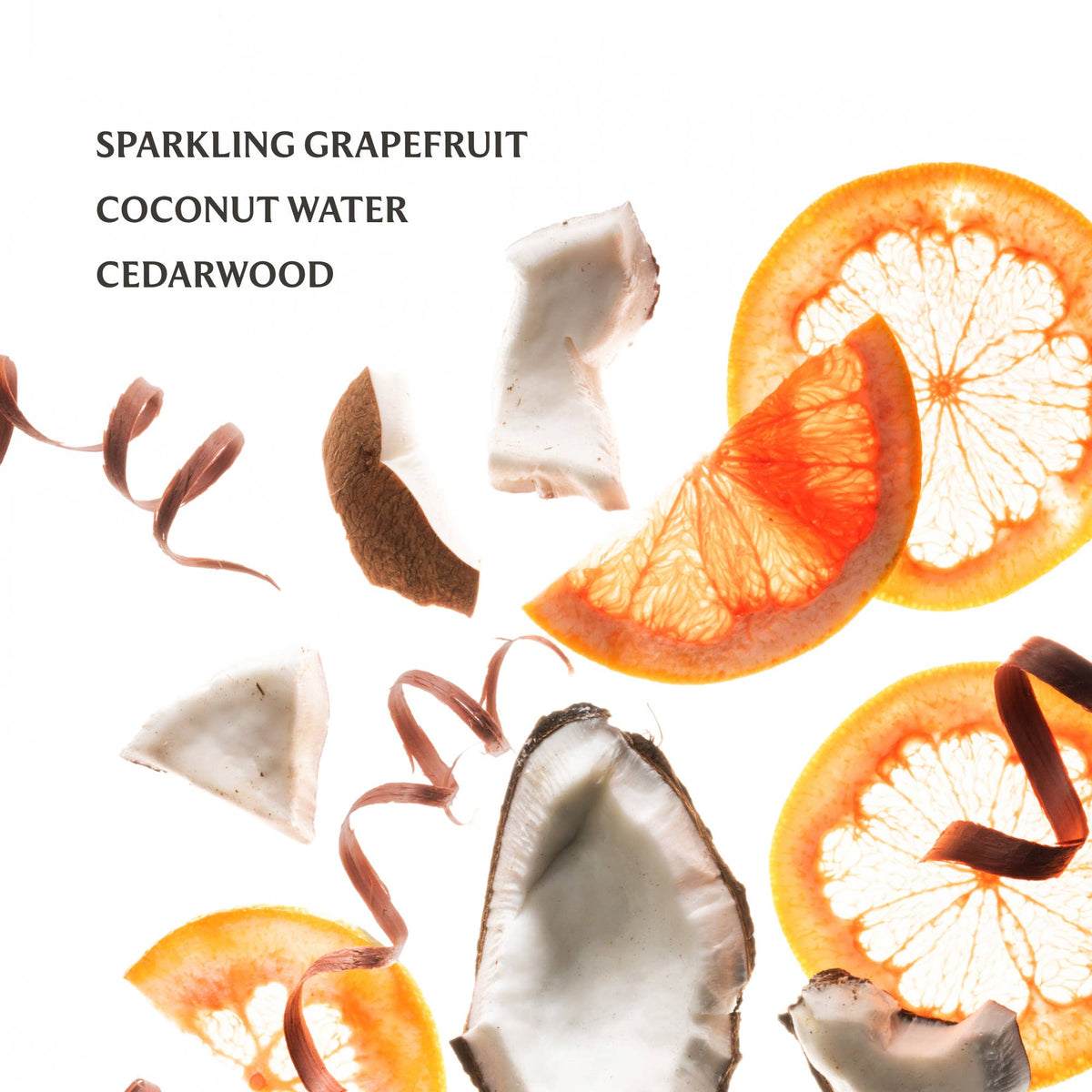 Beach Coco Power Mist Hydrating Hand Sanitizer - Little Jill & Co.