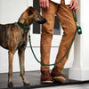Evergreen Dog Collar