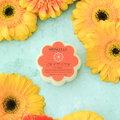 Lily of the Valley Daisy Spongette  | Soap Sponge | Soapy - Little Jill & Co.