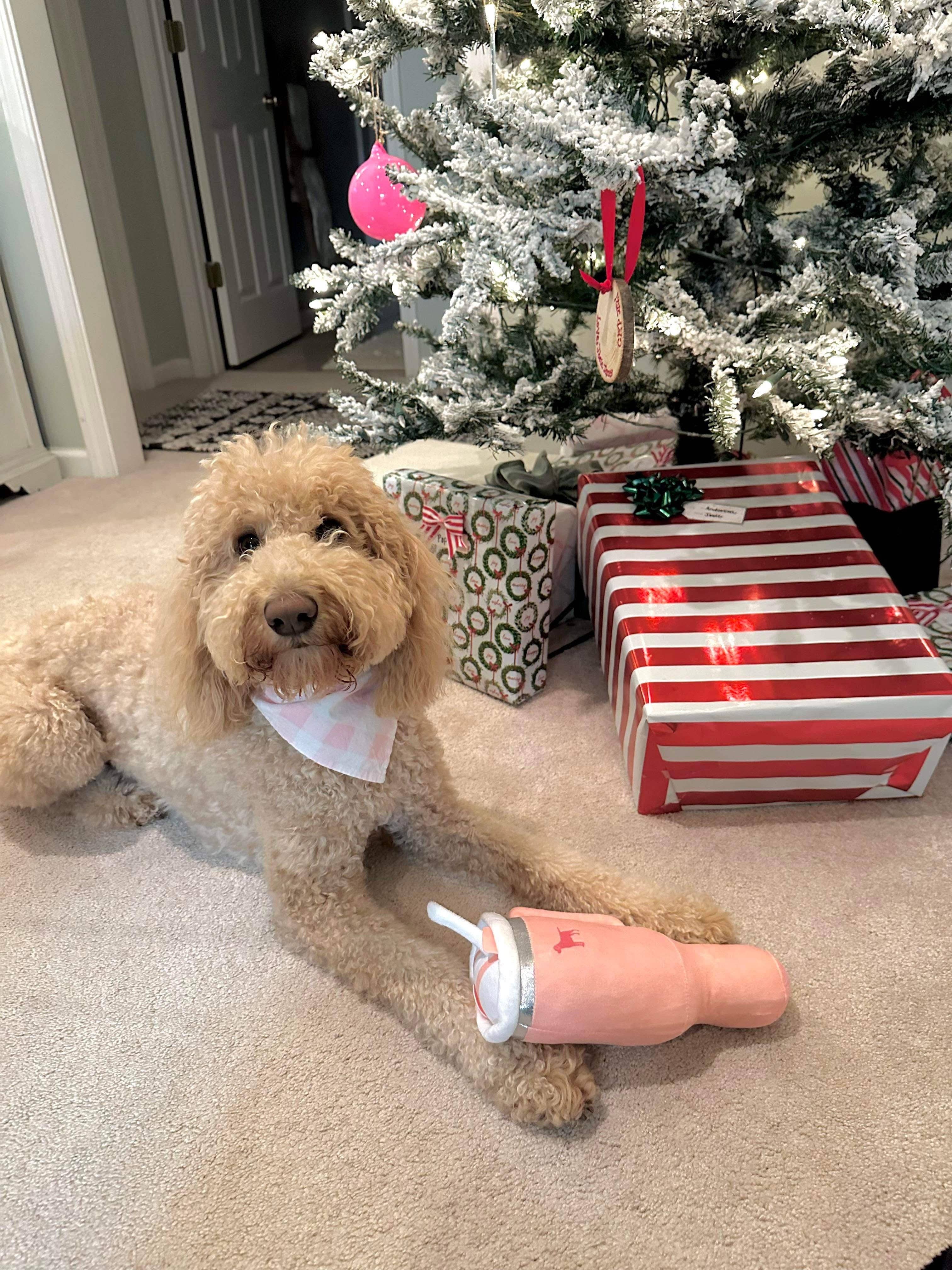 PUPROAR  Dog Toy - Little Jill & Co.