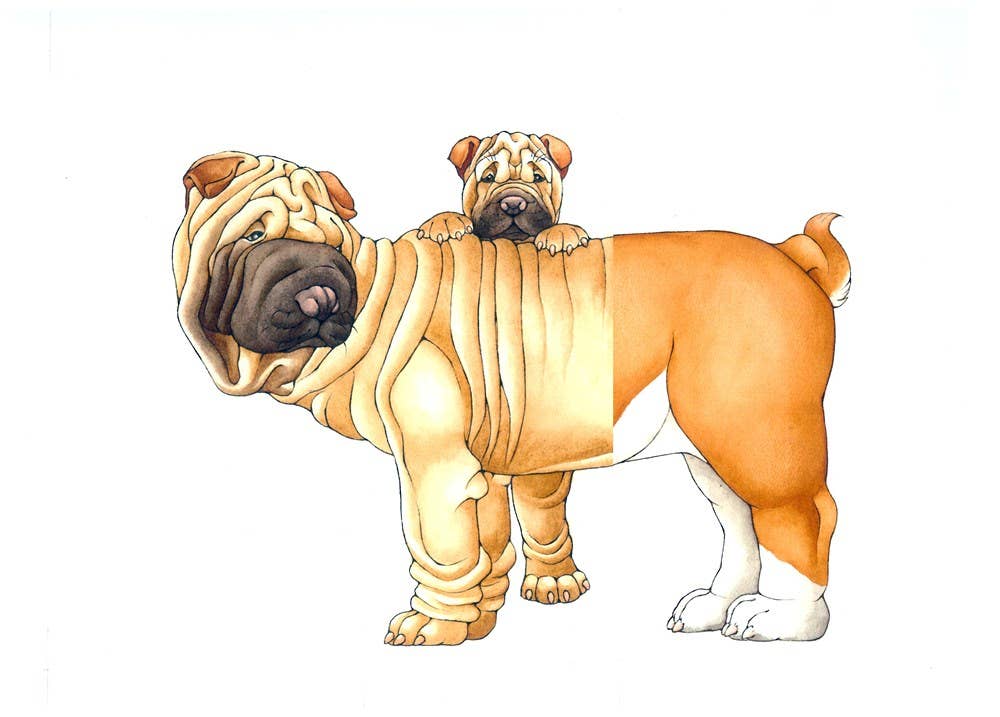 Mix-a-Mutt: Make Your Own Wacky Canine!