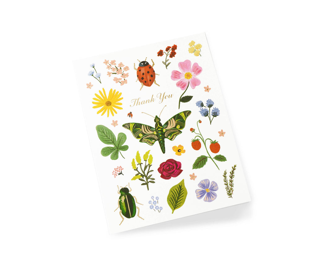 Curio Thank You Card
