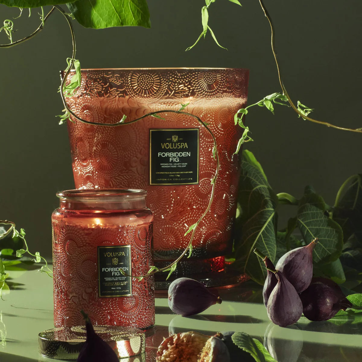 Forbidden Fig Large Jar 18oz
