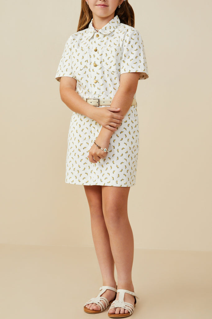 Ditsy Print Button Down Twill Dress