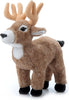 Wild Onez Buck