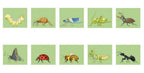 Build-A-Bug