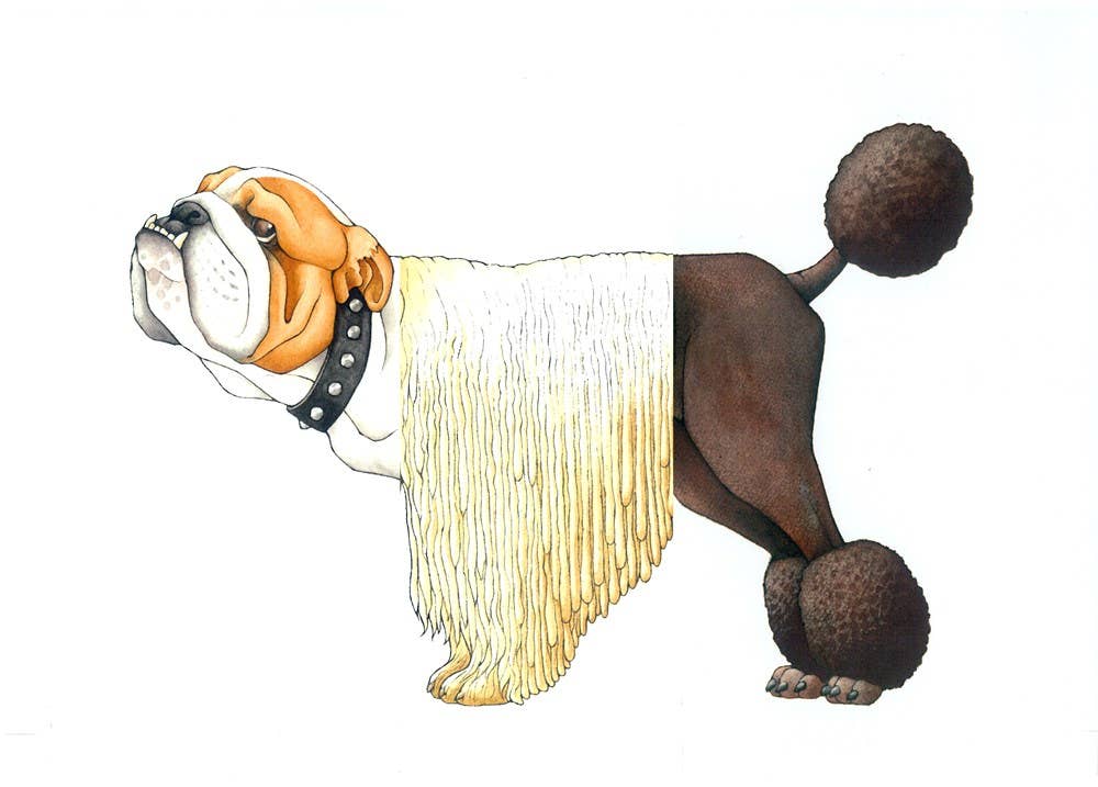 Mix-a-Mutt: Make Your Own Wacky Canine!