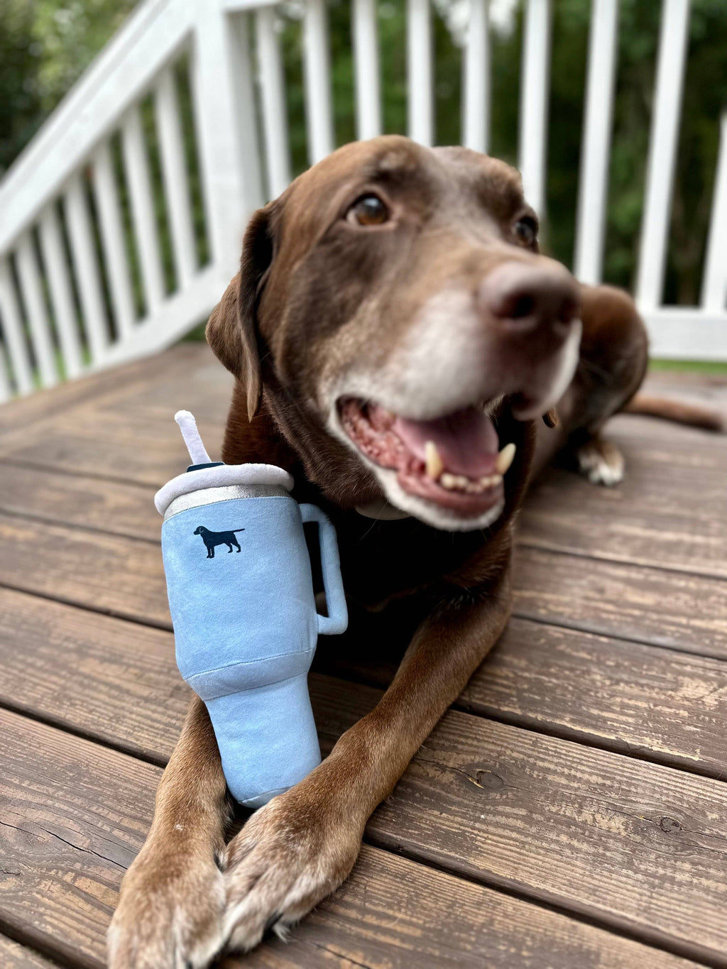 PUPROAR  Dog Toy - Little Jill & Co.