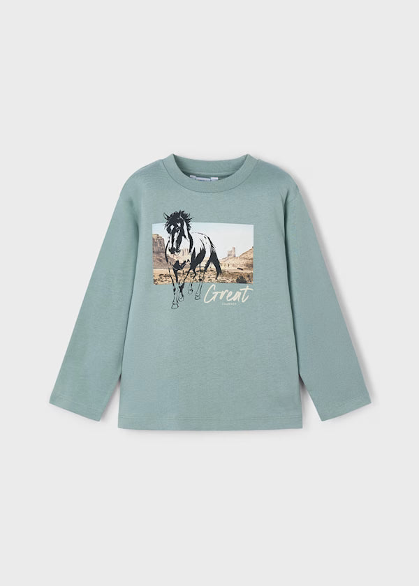 Glacier LS Tee Horse - Little Jill & Co.