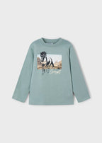 Glacier LS Tee Horse - Little Jill & Co.