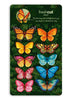 Butterflies and Buttercups