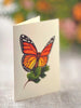 Butterflies and Buttercups