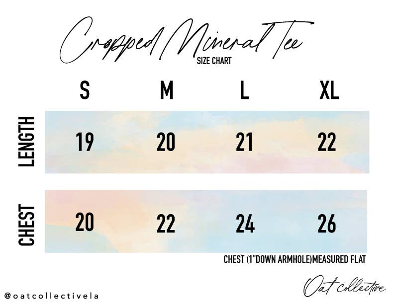 LAKE Cropped Mineral Graphic Top