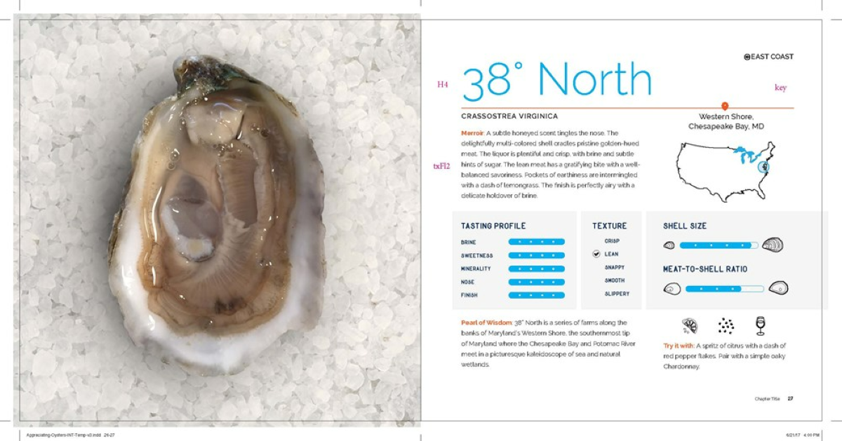 Appreciating Oysters