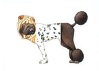 Mix-a-Mutt: Make Your Own Wacky Canine!