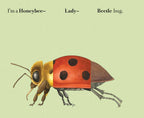 Build-A-Bug