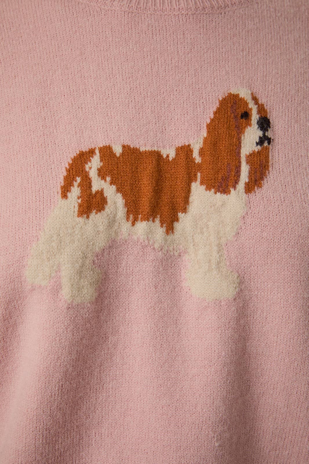 CREW NECK KING CHARLES SPANIEL DOG GRAPHIC SWEATER - Little Jill & Co.