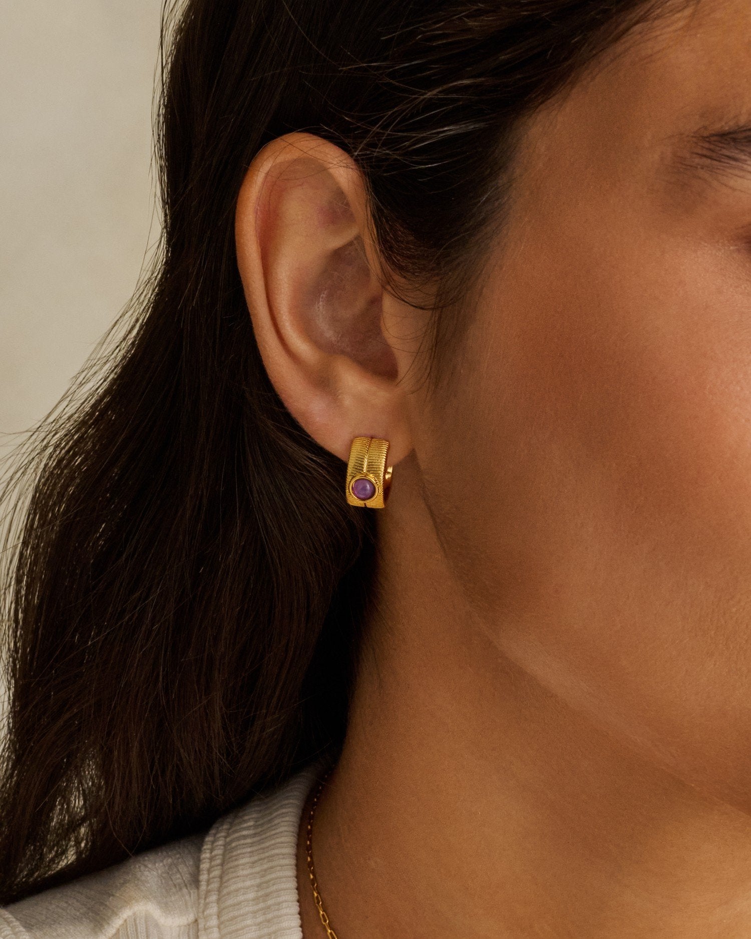 Birthstone Hoop Earrings February
