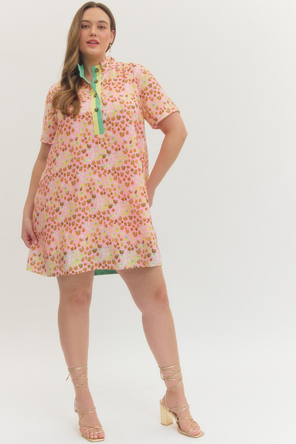 Blush Print Short Sleeve Mini Dress