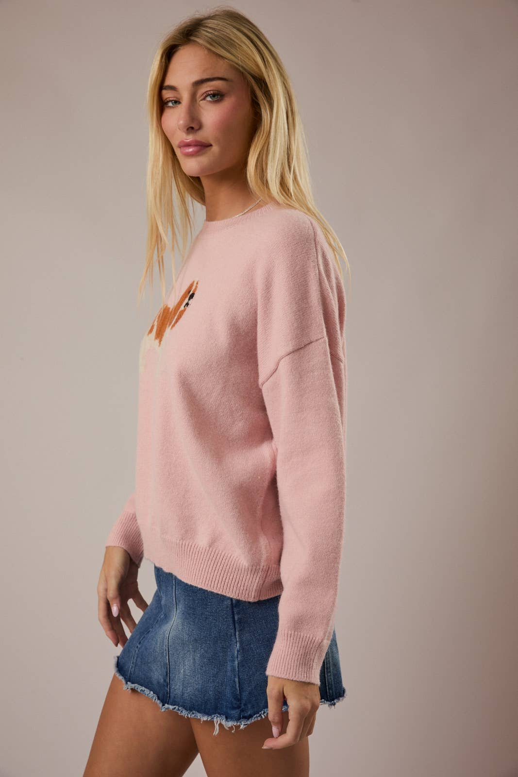 CREW NECK KING CHARLES SPANIEL DOG GRAPHIC SWEATER - Little Jill & Co.