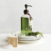 Frasier Fir Hand Wash 15 OZ