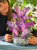 Garden Lilacs