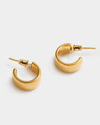 Ciana Snake Huggie Hoop Earrings