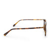 Maxwell - Amber Tortoise Grey Polarized