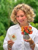 Mini French Poppies Pop-up w/Card